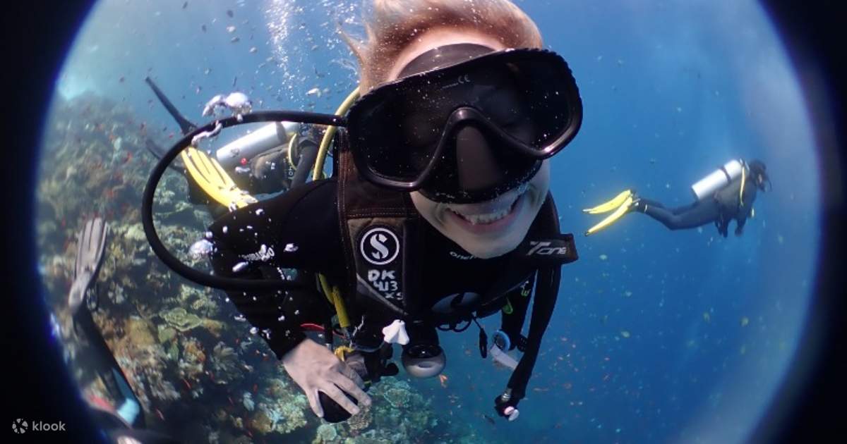 Discovery Scuba Diving With Complimentary Komodo Dragon Trek in Labuan